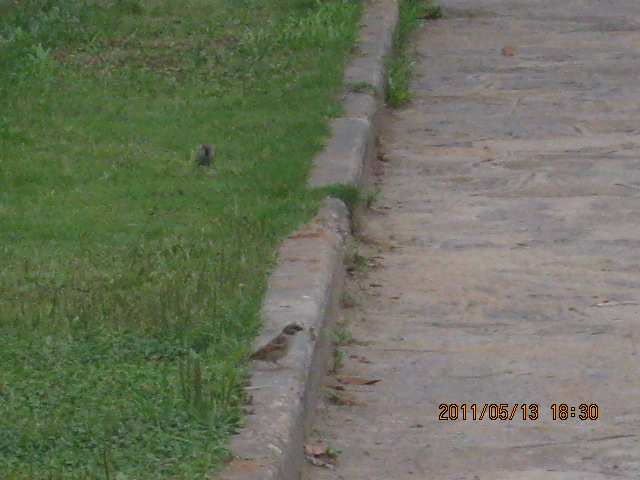 img_2804.jpg