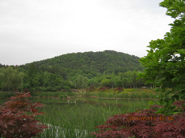 img_2800.jpg