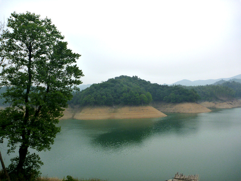 p1060159_.jpg