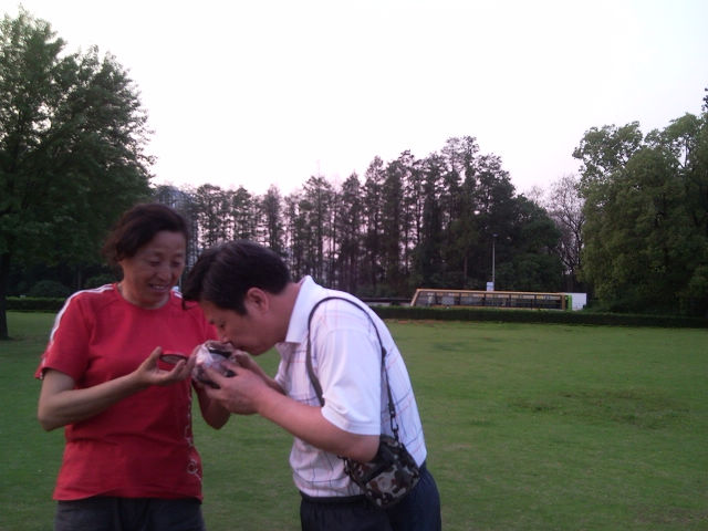 Ƭ038.jpg