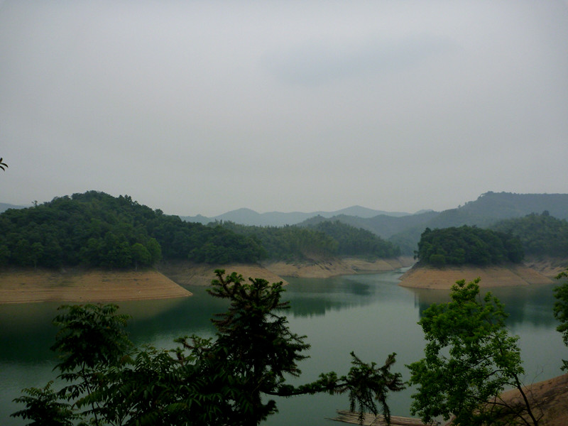 p1060183_.jpg