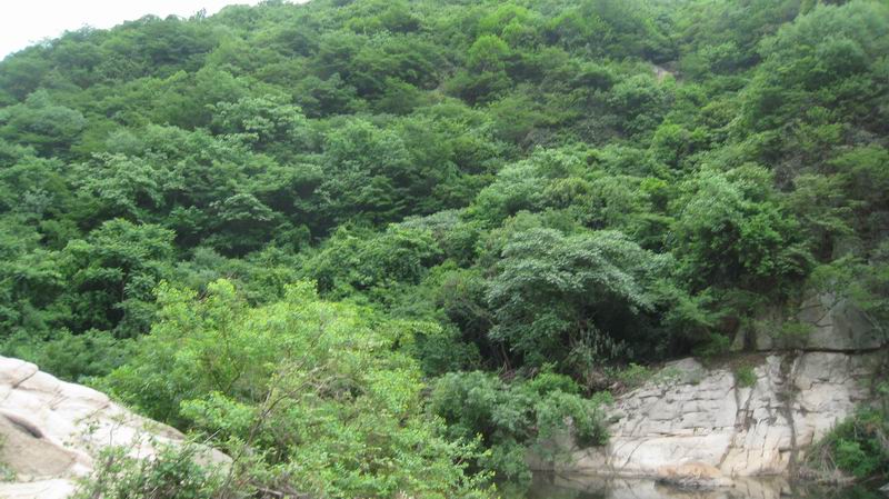 С Ƭ 048.jpg