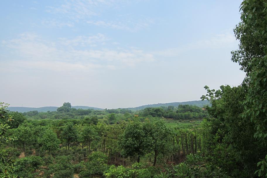 226-34.jpg