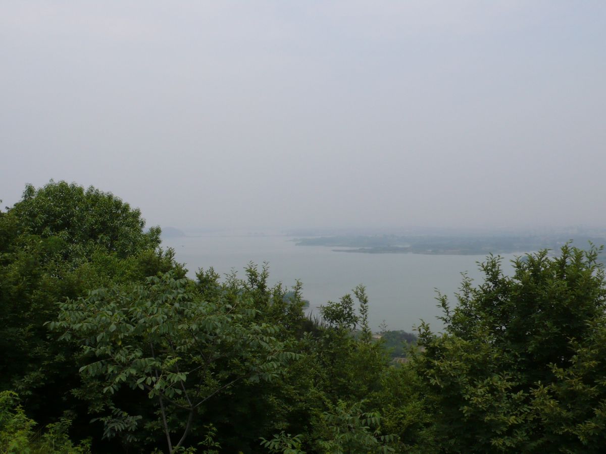 l1100453.jpg