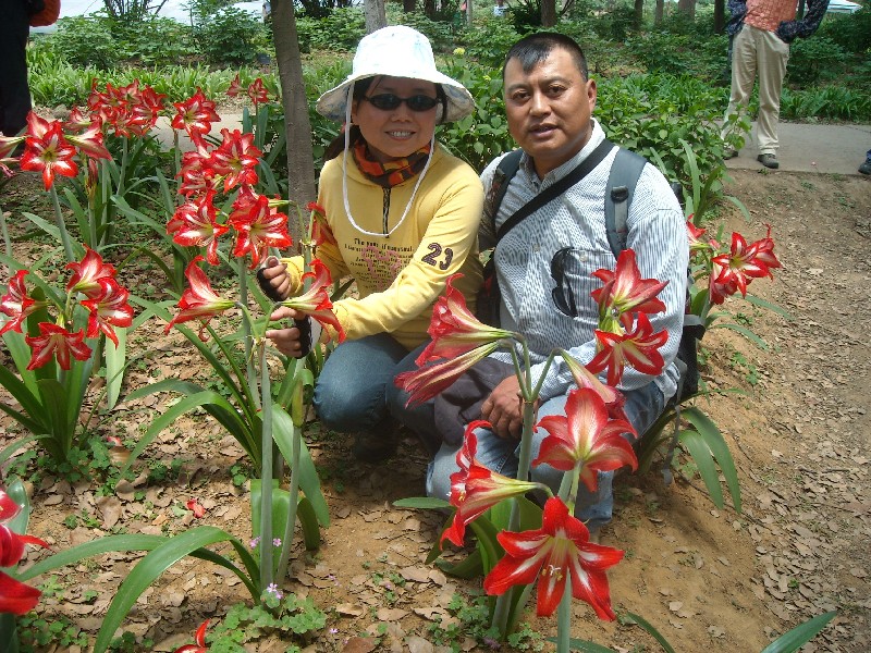 bigbull_Ƭ 027.jpg