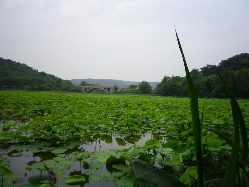 imgp0837.jpg
