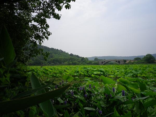 imgp0834.jpg