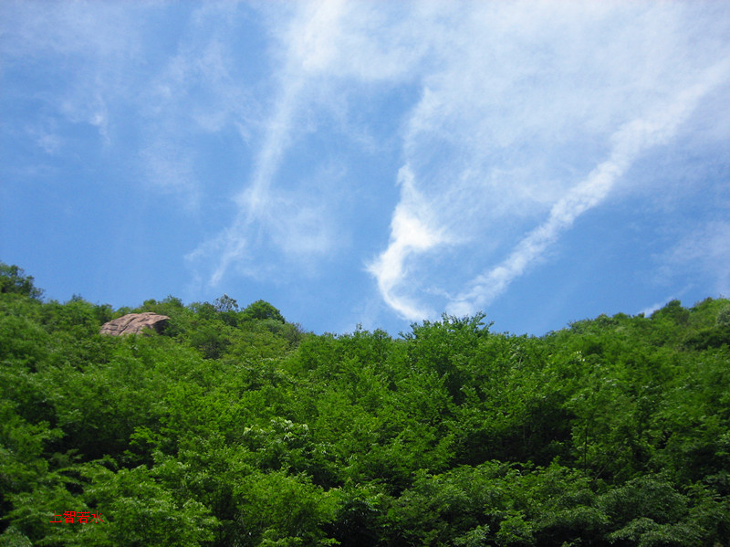 img_0129_jmg.jpg