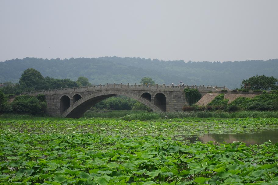 226-60.jpg