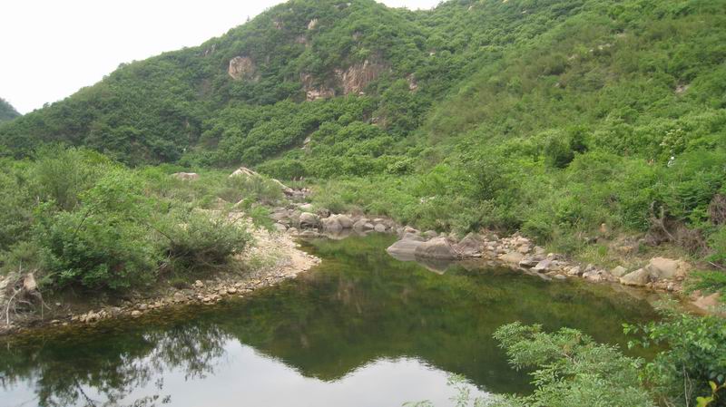 С Ƭ 019.jpg