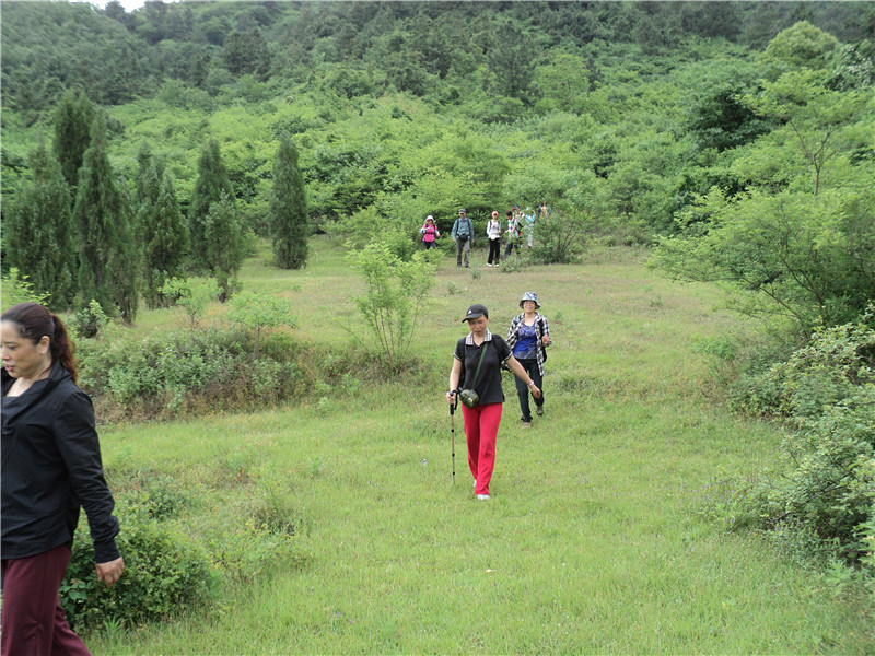 dsc03900_.jpg