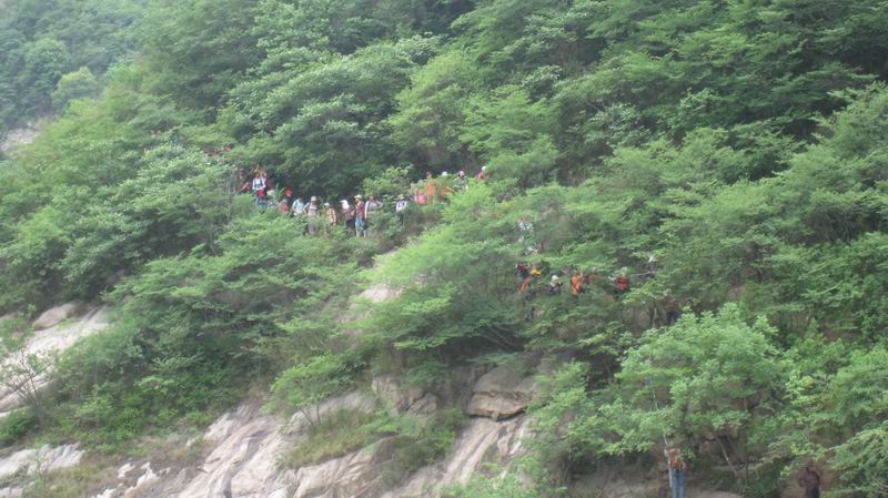 С Ƭ 097.jpg