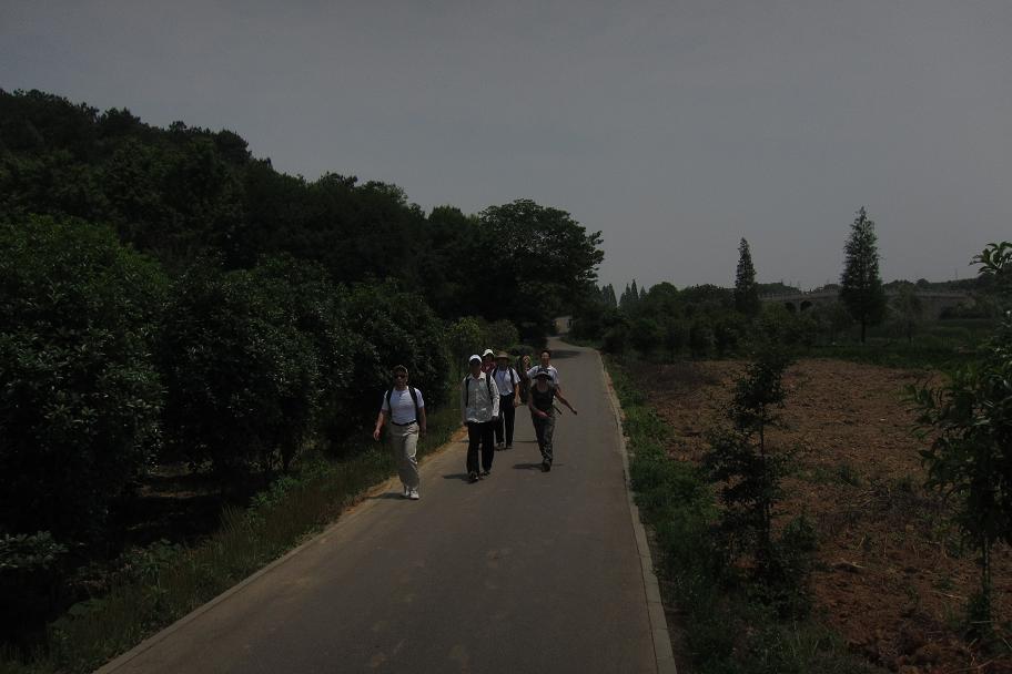 226-44.jpg