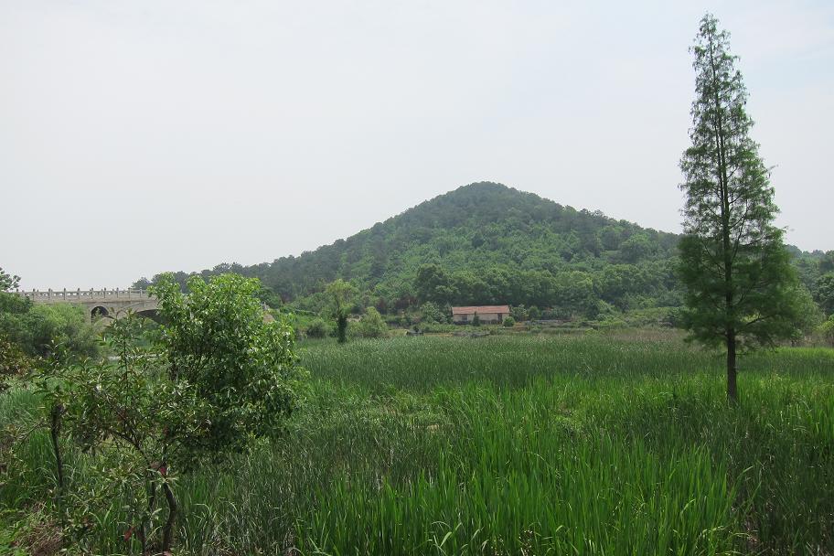 226-46.jpg