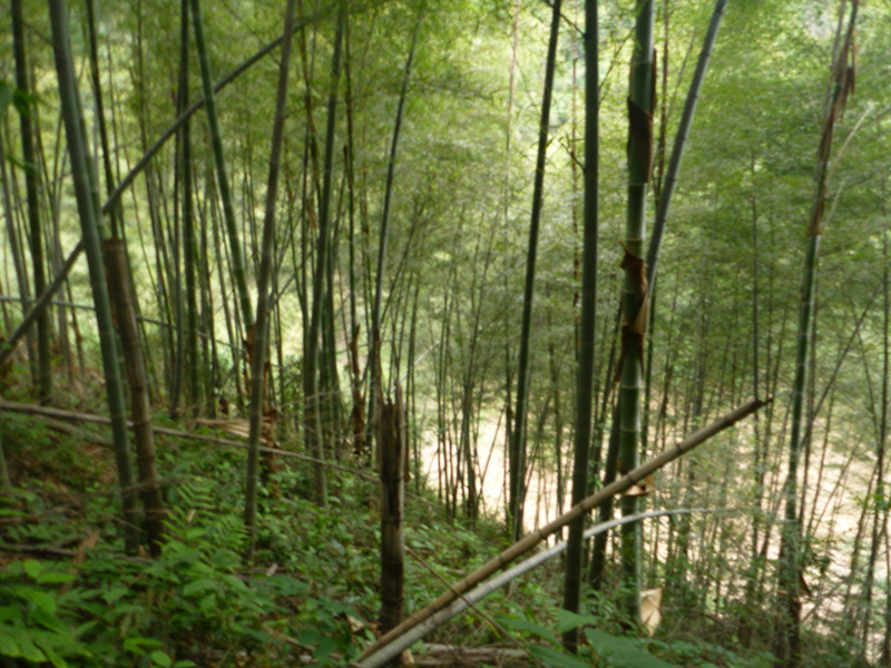 p1060295_.jpg