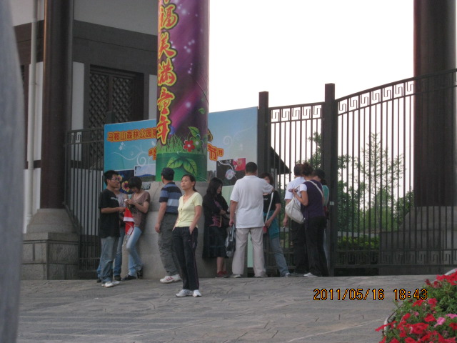 img_2815.jpg