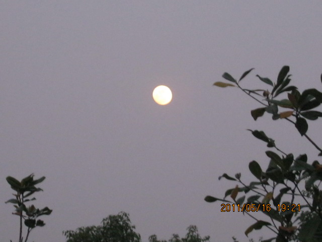 img_2833.jpg
