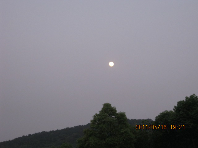 img_2834.jpg