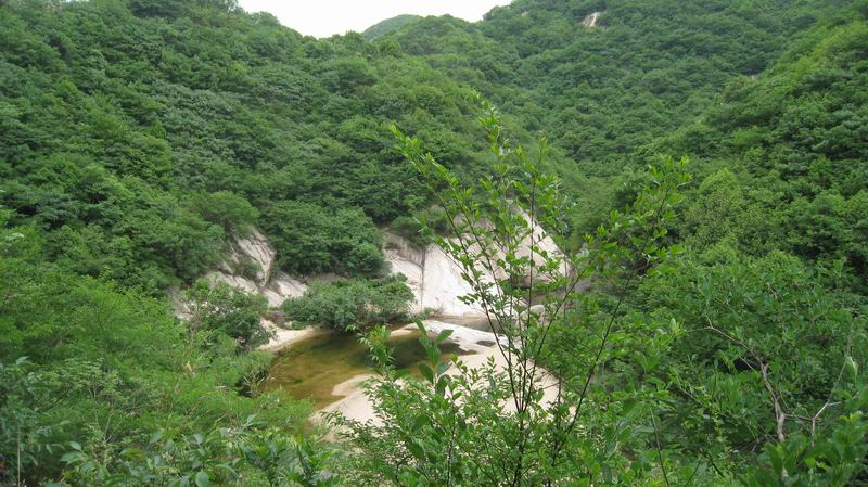 С Ƭ 062.jpg