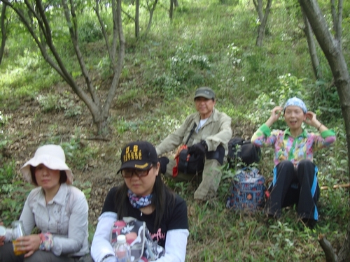 dsc01533.jpg