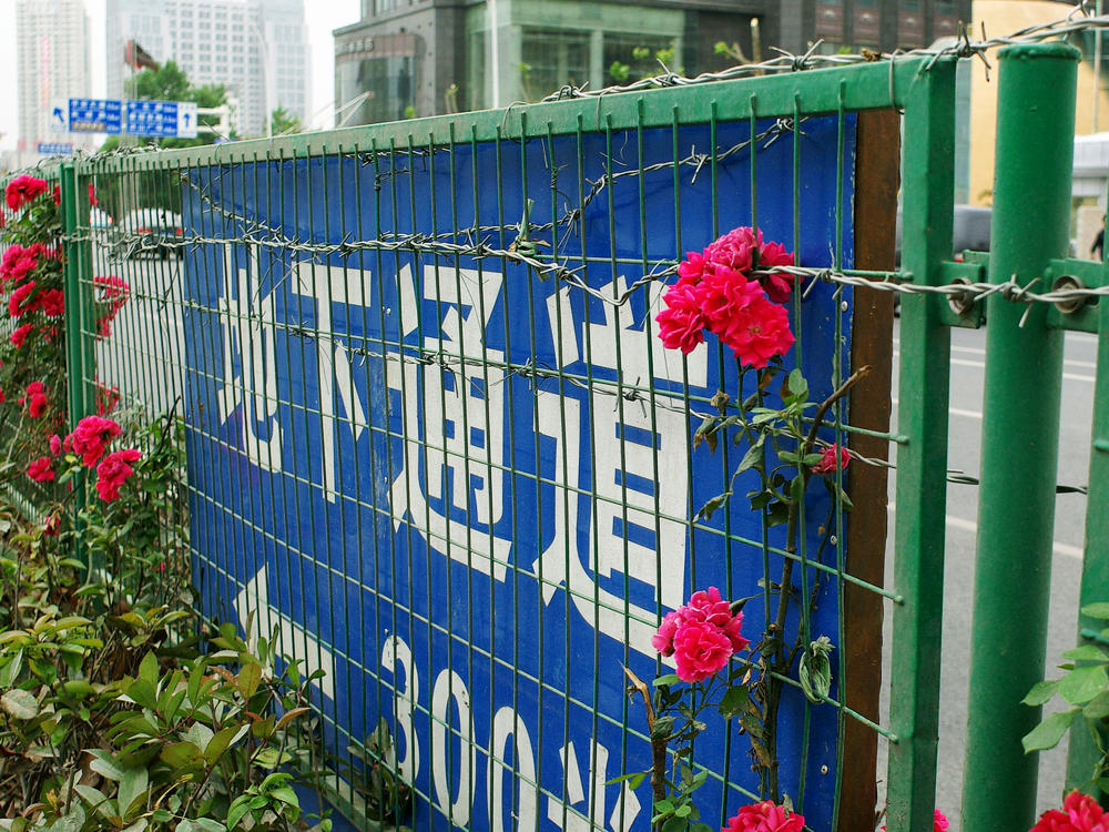 imgp1741.jpg