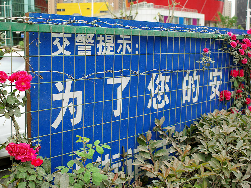 imgp1744.jpg