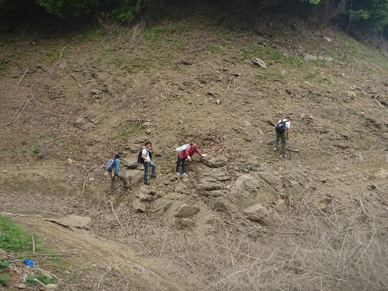 p1060326_.jpg
