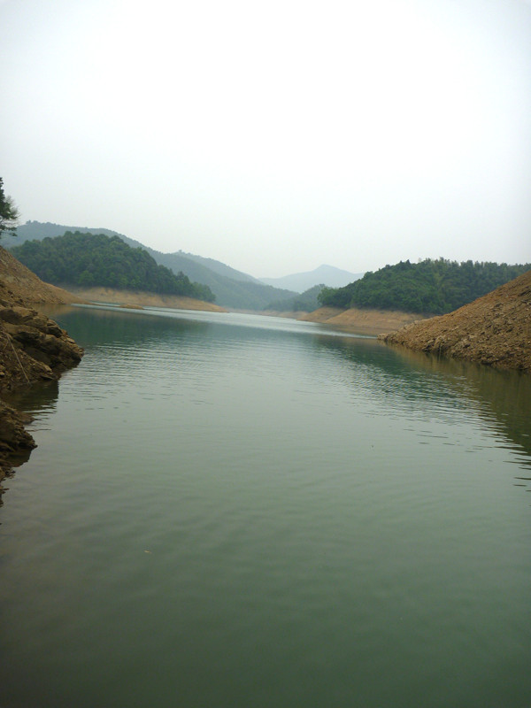 p1060330_.jpg