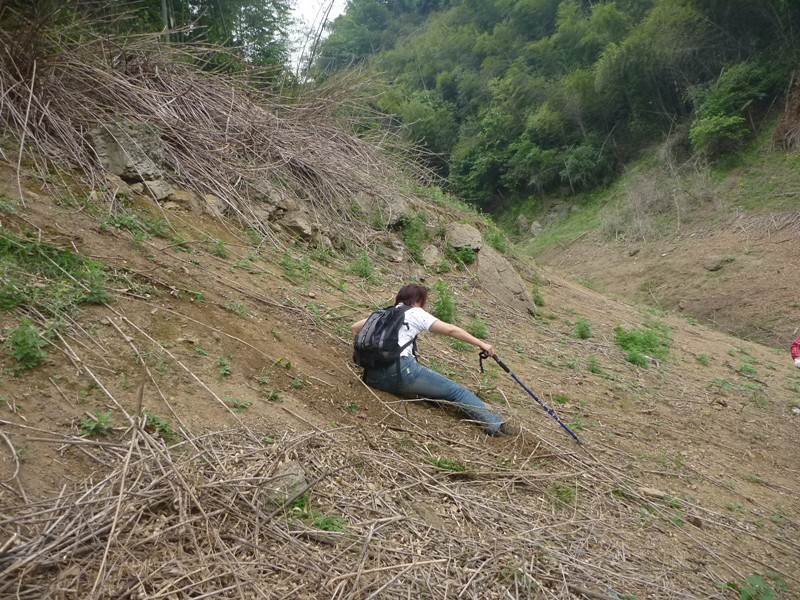 p1060324_.jpg