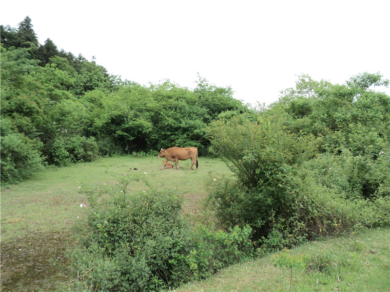 dsc03911_.jpg