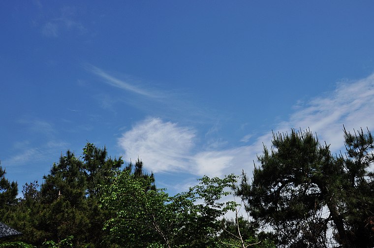 dsc_0593.jpg