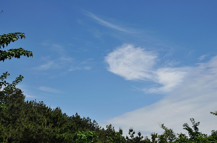 dsc_0595.jpg