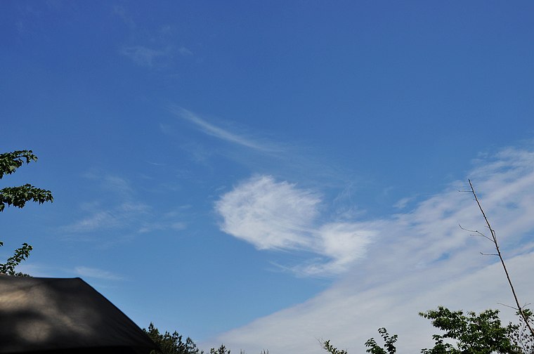dsc_0594.jpg