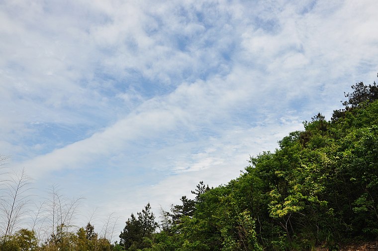 dsc_0583.jpg