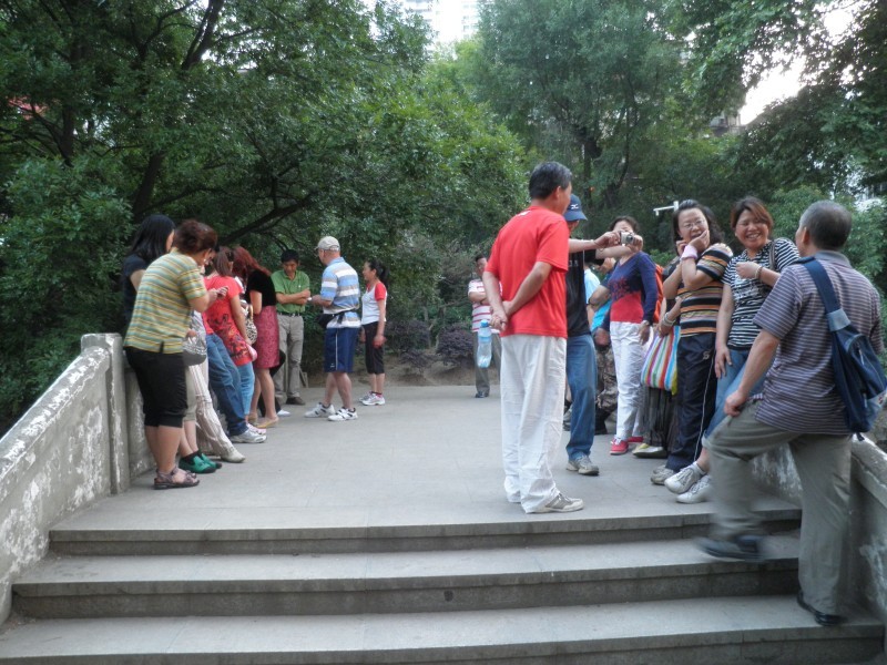 conew_p5160176_conew1.jpg