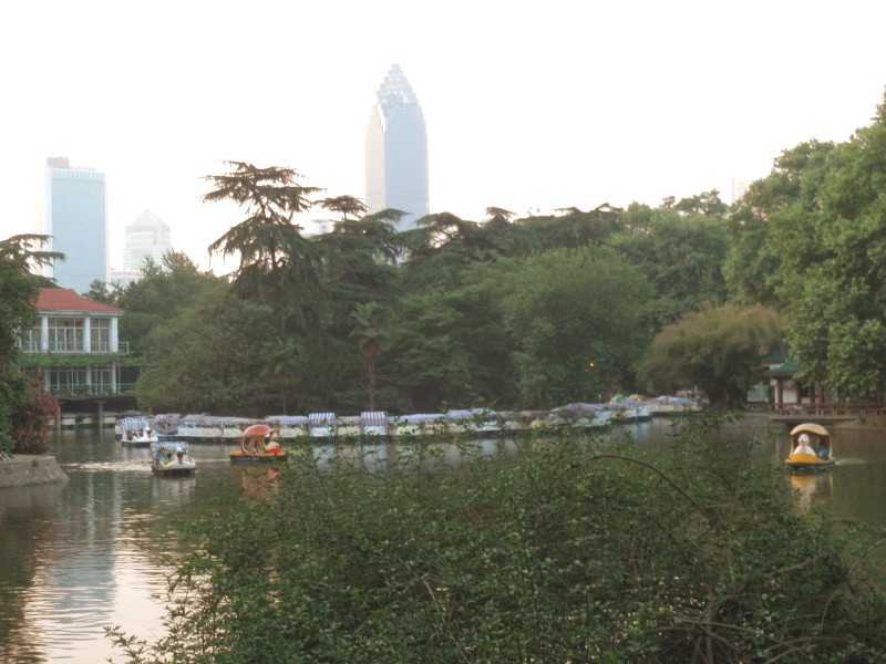 conew_p5160179_conew1.jpg
