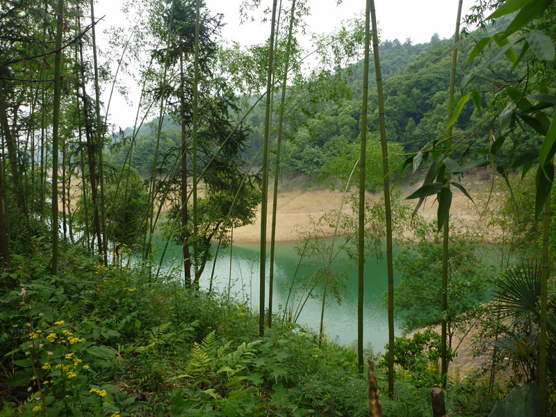 p1060372_.jpg