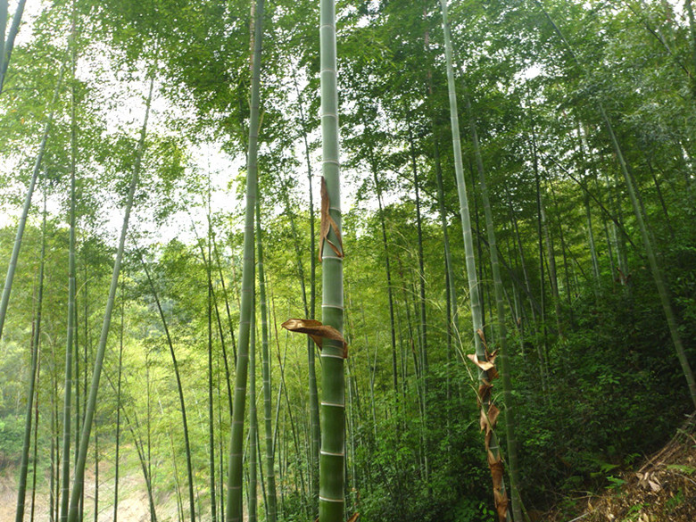 p1060360__.jpg