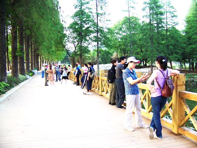 100_3620.jpg
