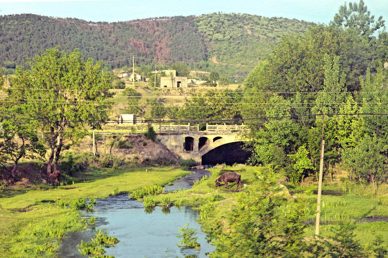 dsc_0365a.jpg