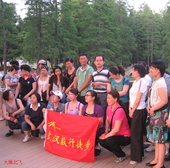img_0207_06.jpg