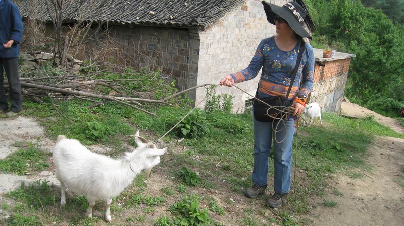 С Ƭ 248.jpg