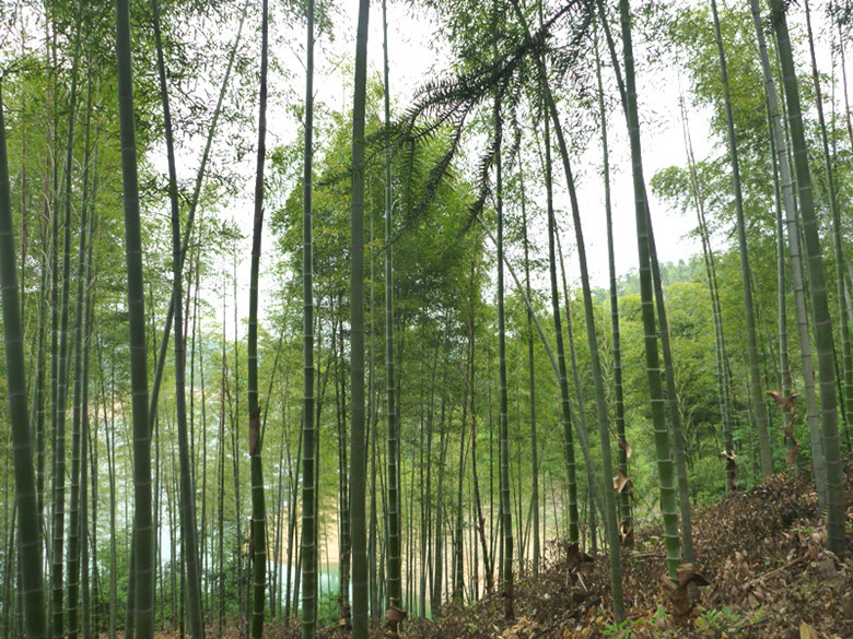 p1060350__.jpg