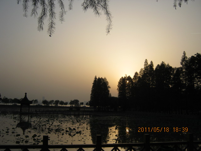 img_2850.jpg