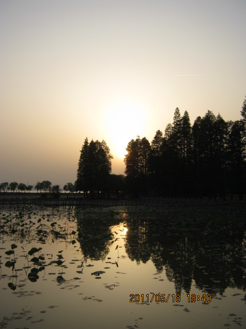 img_2851.jpg