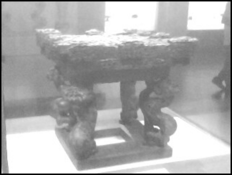 conew_img0424a.jpg