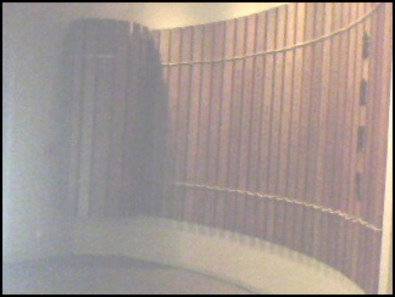 conew_img0429a.jpg