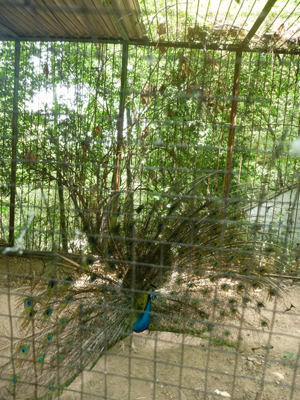 p1060463_.jpg