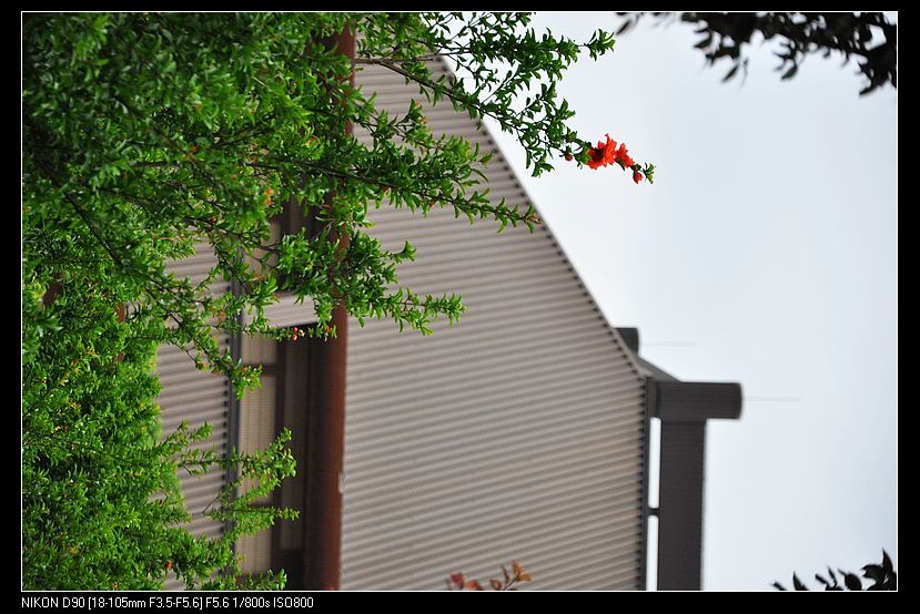 dsc_0050.jpg
