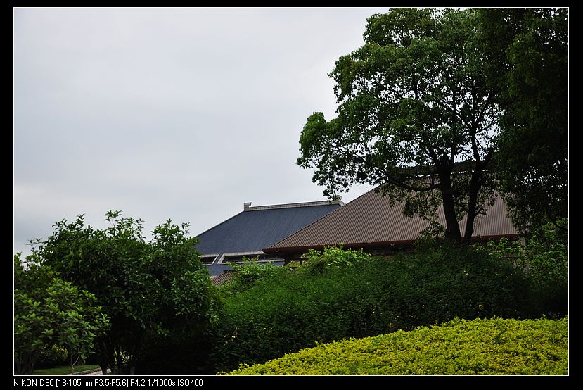 dsc_0051.jpg